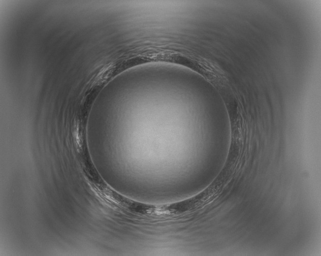 X0000058130607200509231120