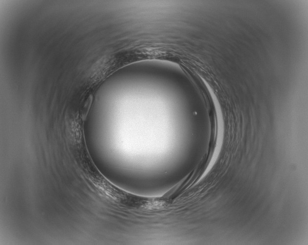 X0000058130609200509231120