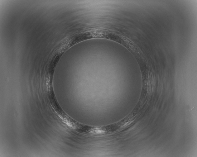 X0000058130610200509231120