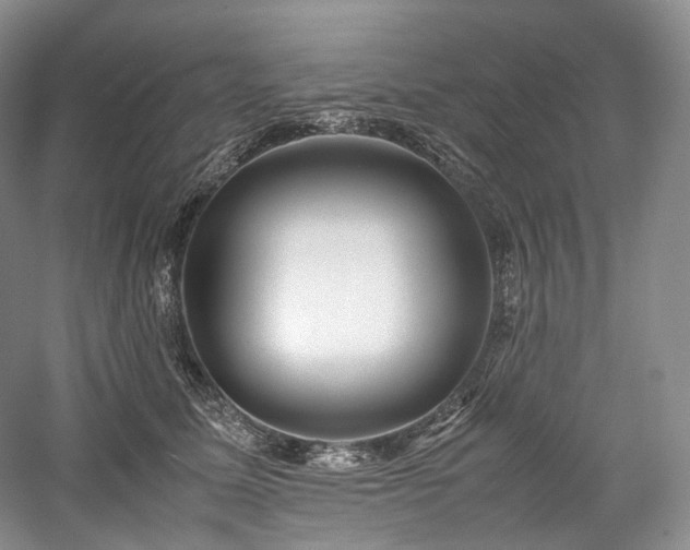 X0000058130611200509231120