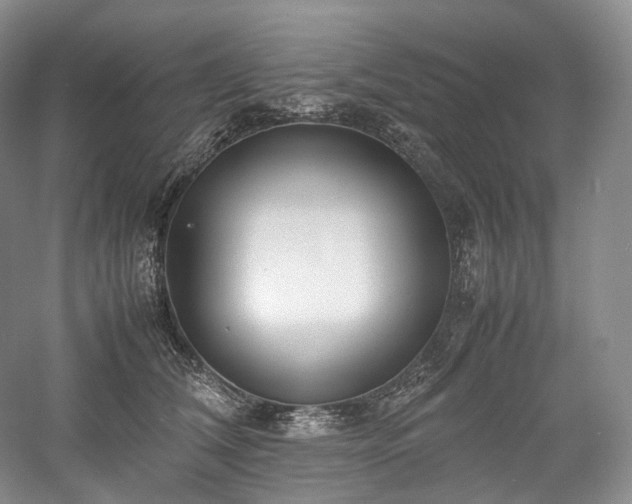 X0000058130612200509231120
