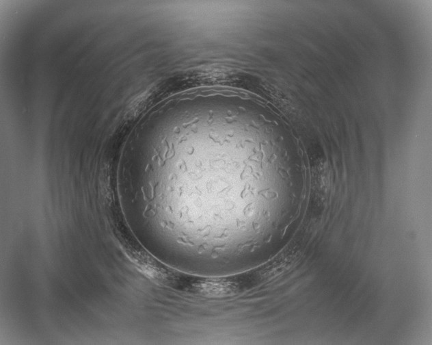 X0000058130615200509231120