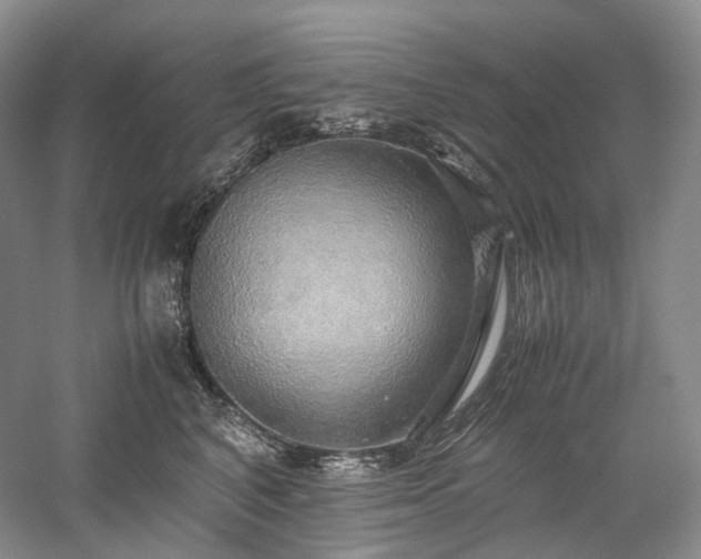 X0000058130616200509231120