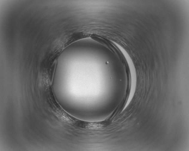 X0000058130617200509231120