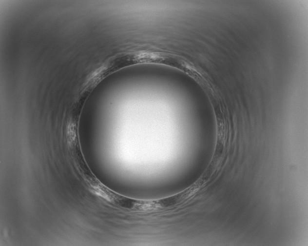 X0000058130621200509231120