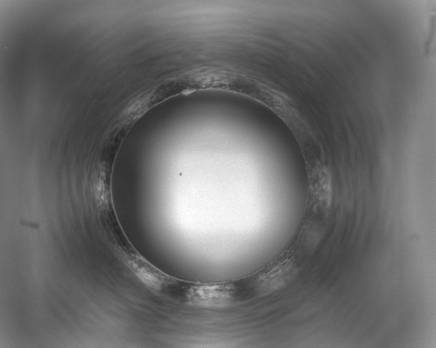 X0000058130622200509231120
