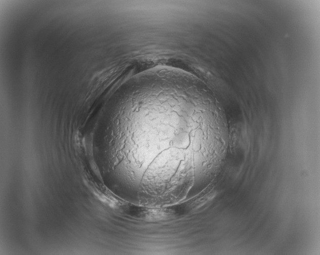 X0000058130623200509231120