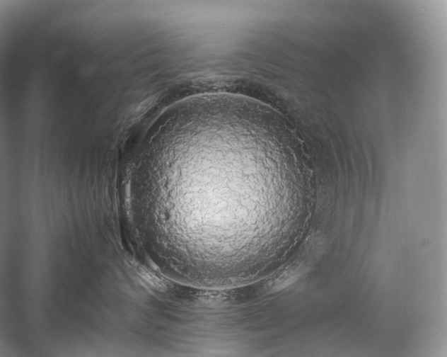X0000058130624200509231120