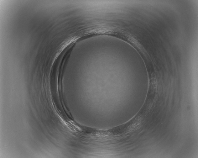 X0000058130626200509231119