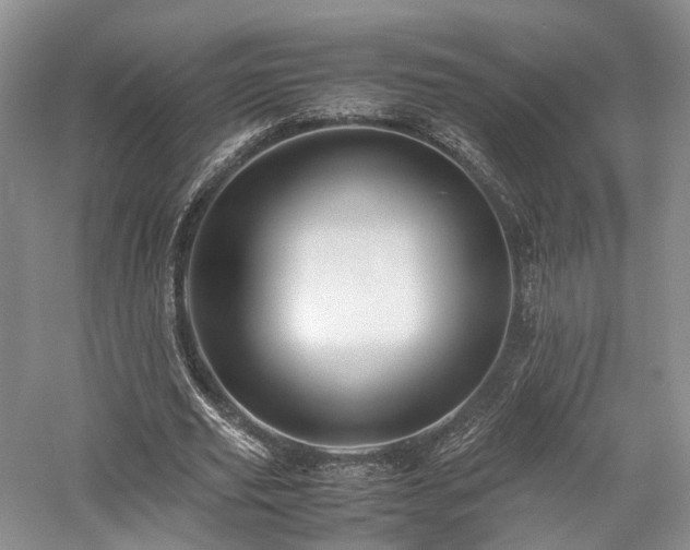 X0000058130629200509231119