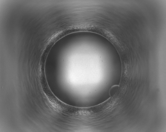 X0000058130636200509231119