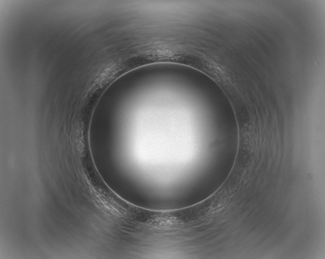X0000058130642200509231120