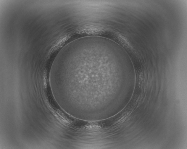 X0000058130644200509231120