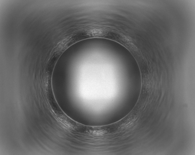 X0000058130645200509231120