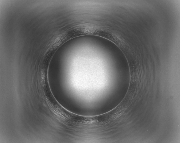 X0000058130646200509231120