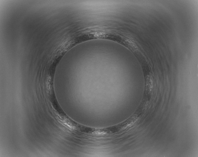 X0000058130650200509231120