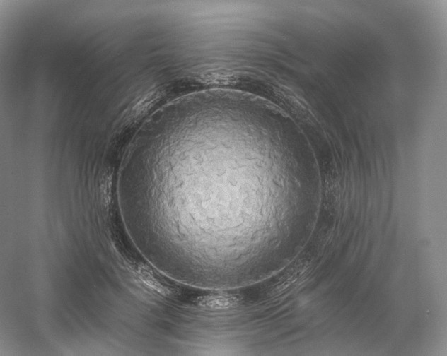 X0000058130652200509231120
