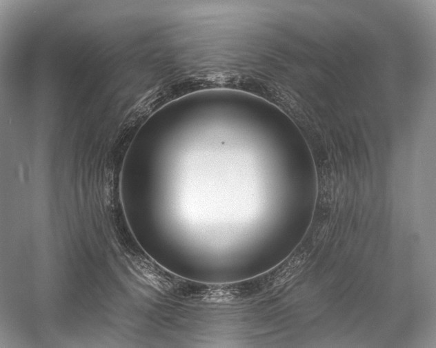 X0000058130656200509231120
