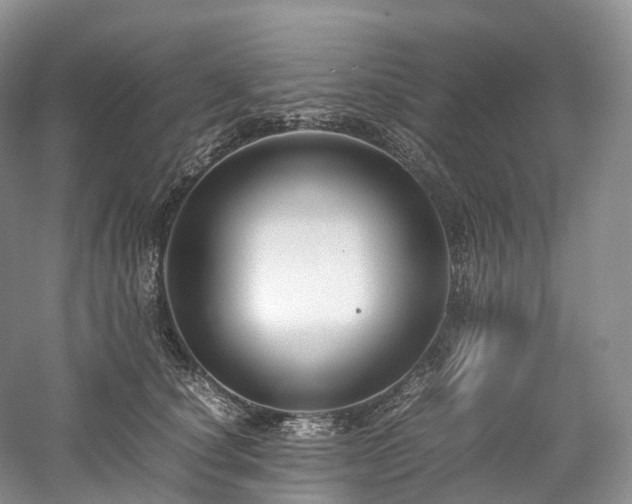 X0000058130660200509231120