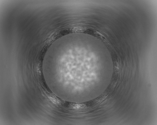 X0000058130663200509231120