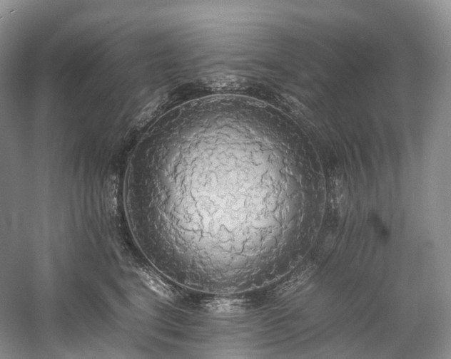 X0000058130664200509231120