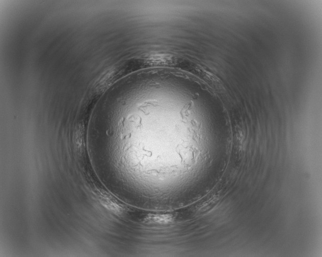 X0000058130665200509231120