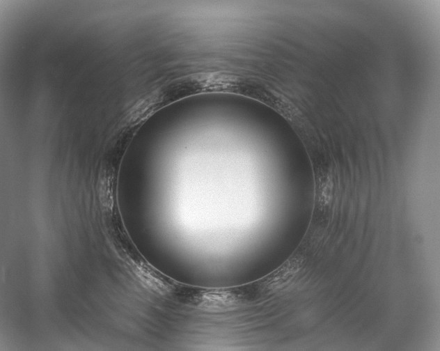 X0000058130666200509231120