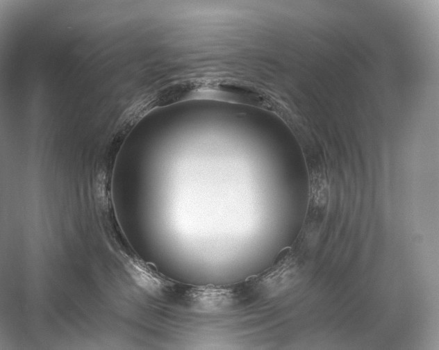 X0000058130670200509231120
