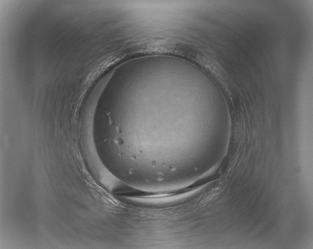 X0000058130673200509231119