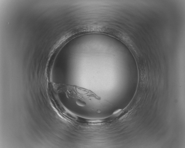 X0000058130674200509231119