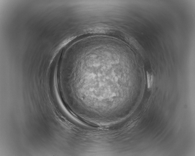 X0000058130675200509231119