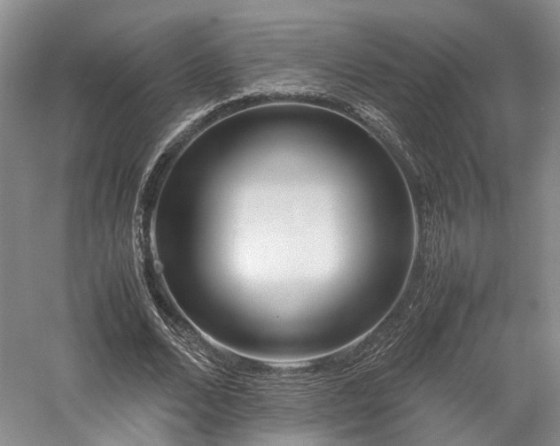 X0000058130680200509231119