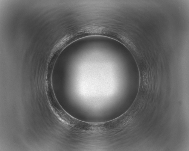 X0000058130682200509231119