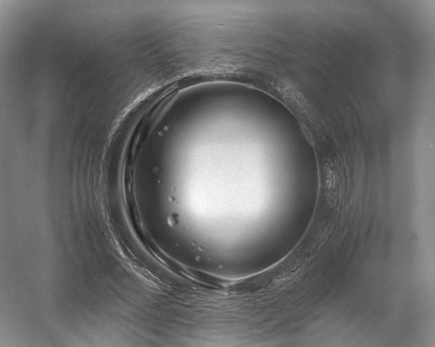 X0000058130684200509231119