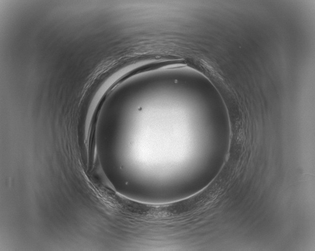 X0000058130685200509231119