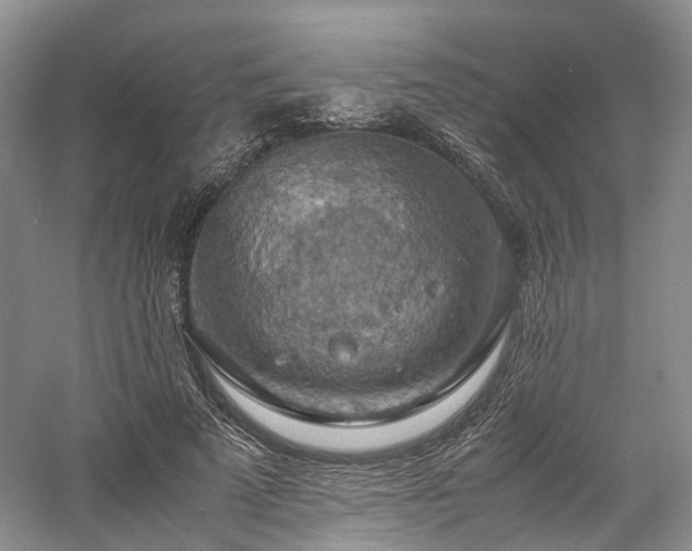 X0000058130689200509231119