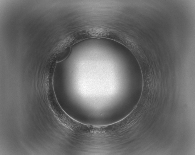 X0000058130690200509231119