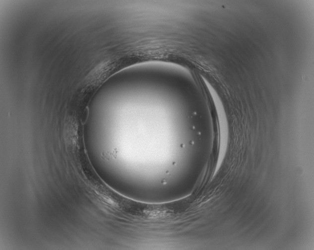 X0000058130693200509231119