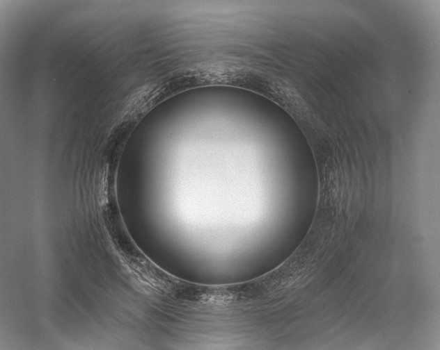 X0000058130694200509231119