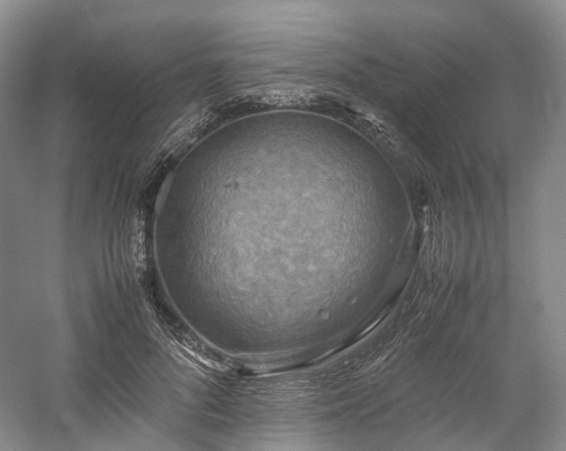 X0000058130696200509231119