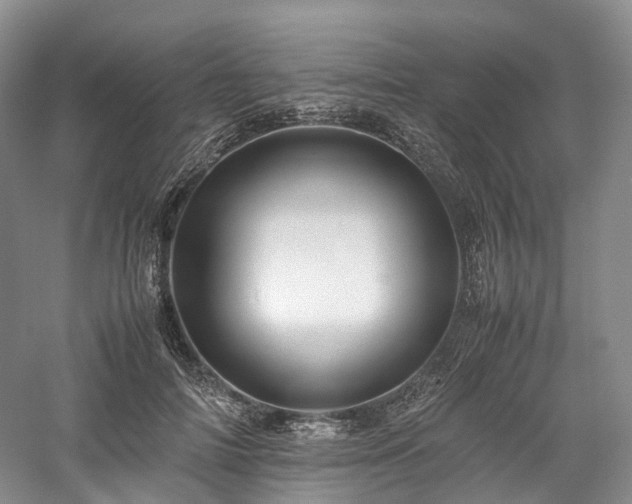 X0000058130698200509231119