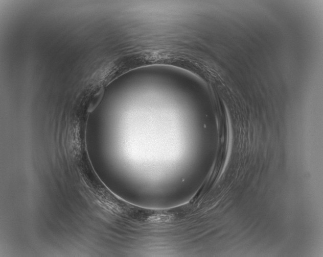 X0000058130700200509231119