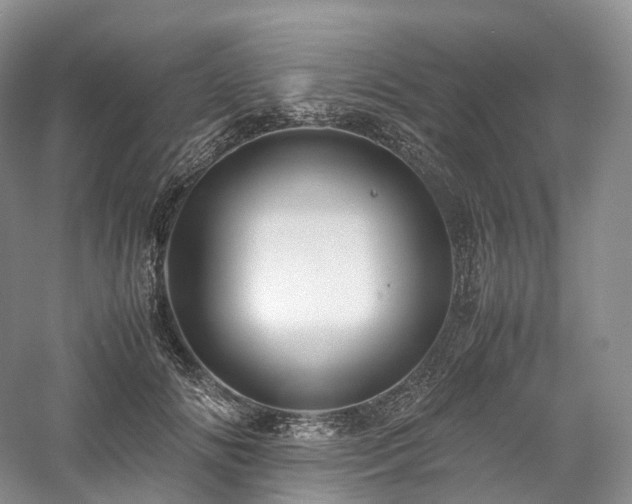 X0000058130702200509231119