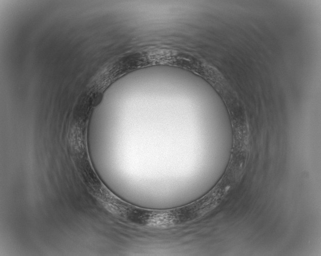 X0000058130705200509231119