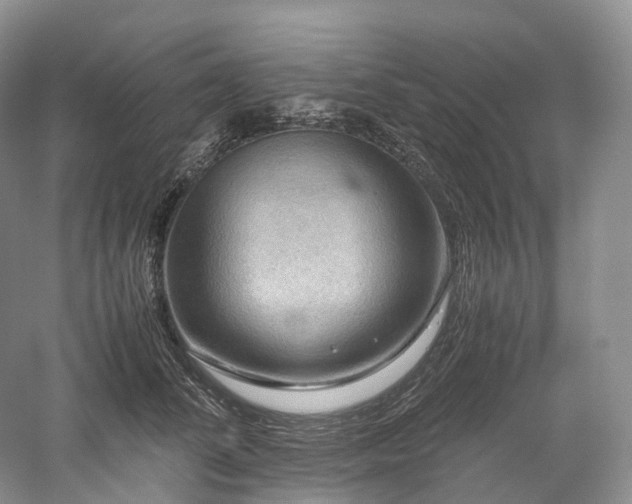 X0000058130708200509231119