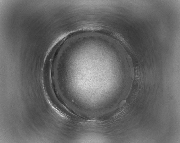 X0000058130726200509231118