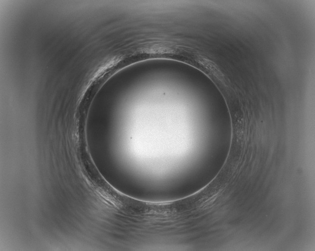 X0000058130727200509231118