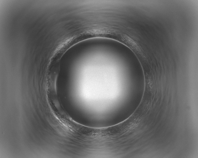 X0000058130732200509231118