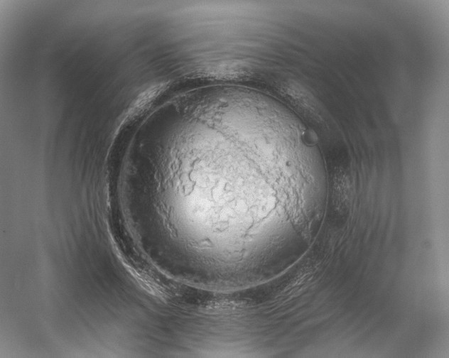 X0000058130734200509231118