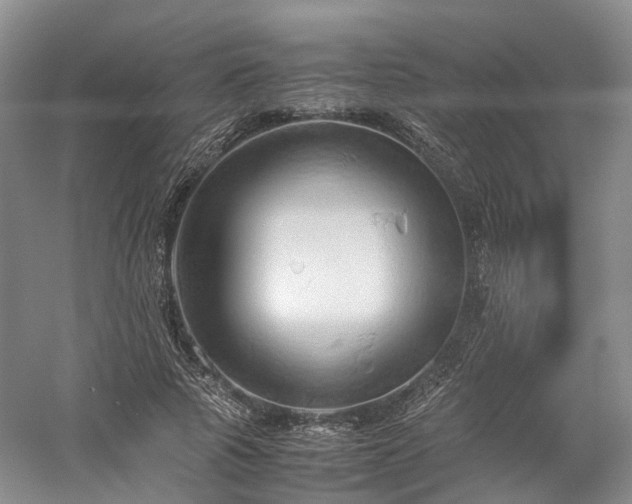 X0000058130737200509231118